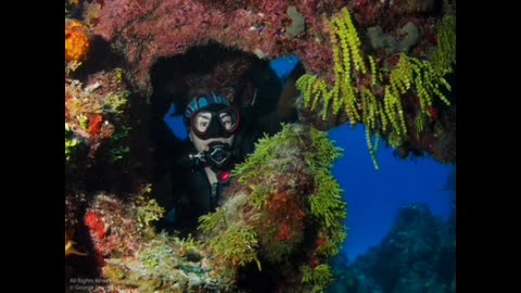 Little Cayman Diving