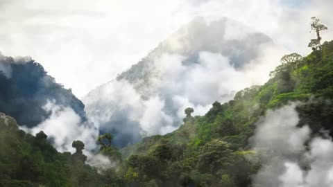 Paragliding Alongside Eagles | Natural World: Super Powered Eagles | BBC Earth