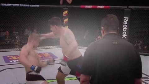 Frank Mir Knockout Todd Duffee