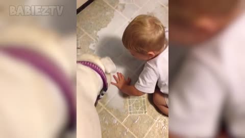Adorable Babies and and pets videos