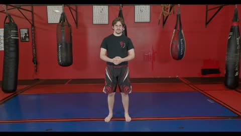 JKD - Fighting Stance
