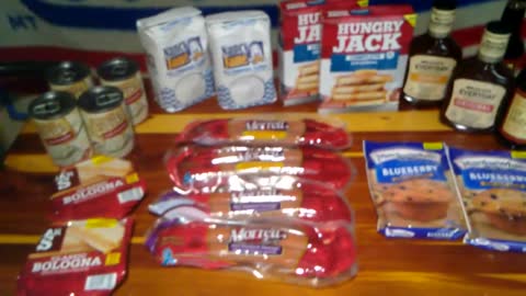 MY 1ST $25 "DOLLAR TREE" "PREPPER PANTRY HAUL"