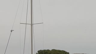 Mast Comes Down with a Crash