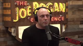 Jordan Peterson and Joe Rogan talk about comedy and how there are "protected classes"