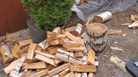 Bob chopping wood