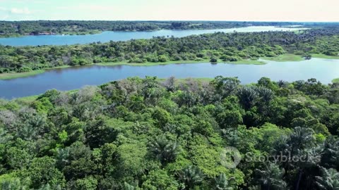 Jungle Waterways: Life Along the Mighty Amazon River