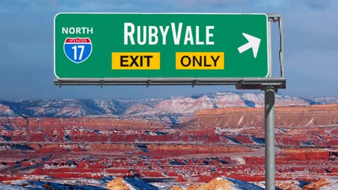 RubyVale - Brunson Brothers Go To Washington