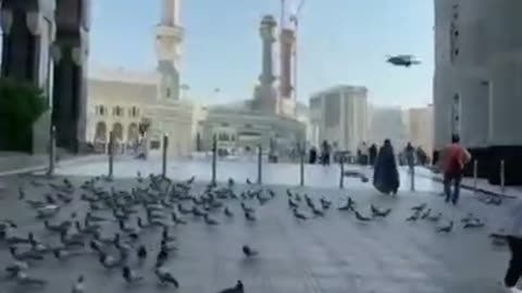 Beautiful Naat | Islamic Whatsapp status | Allah is Forgiver | Short Video#shorts #status #naat
