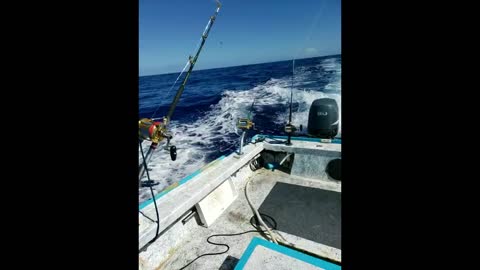 Summer Fishing In Kona Hawaii