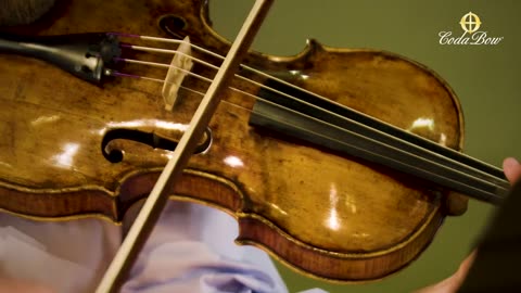 Violins vs Violas: What Are The Major Differences Between Bows? | David Auerbach for CodaBow