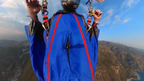 Wingsuit - cutaway