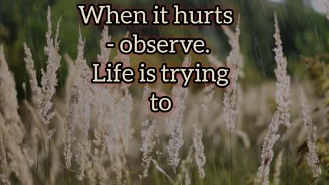 there When someone is sick, that becomes, realize that life is trying to teach you a lesson!