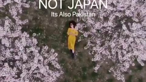 When you watch , You must wish to visit Pakistan