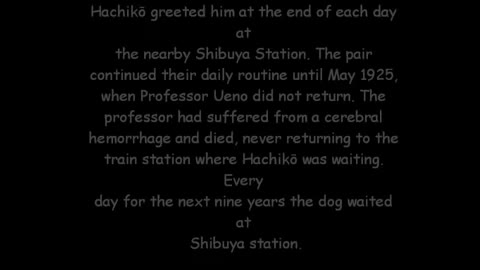 81-Year-Old Rare Photo of the Famous Hachiko Found