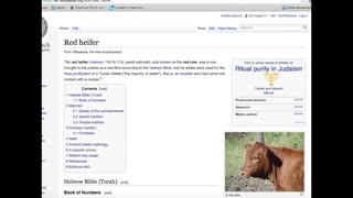 The Secret of the Red Heifer Sacrifice