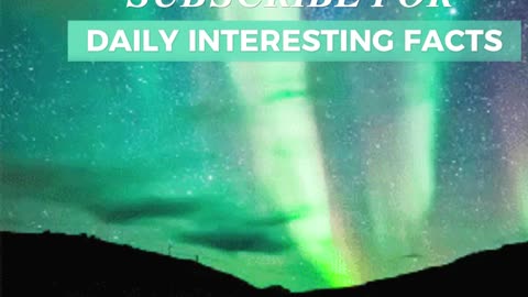 Northern Lights' Southern Spectacle #uppbeat #trending #stayconnected