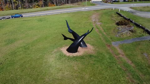Whales Tail sculptures, Randolph, VT, Vermont, Drone, Mini 2, Central VT