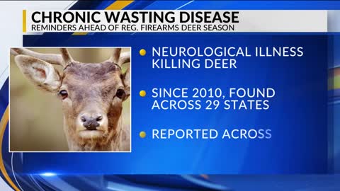 Chronic Wasting Disease, what PA hunters should know ahead of firearms deer season