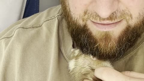 Just a Man and His Ferret
