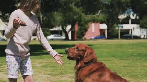 Girl payinlg with a dog