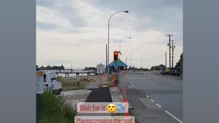 Plane crossing the road ✈️ 😮