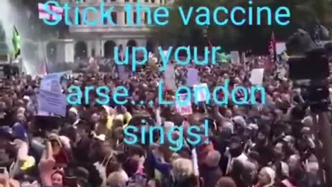 Stick vaccine up your ass London