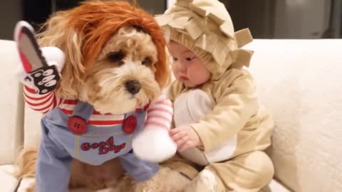 My Dog and Baby Dress up for Halloween