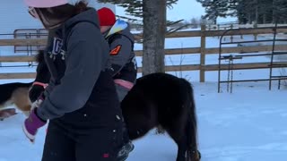 Mini Pony Rodeo