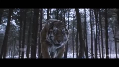 Tiger and Lion Roar - The most badass roar in the movies