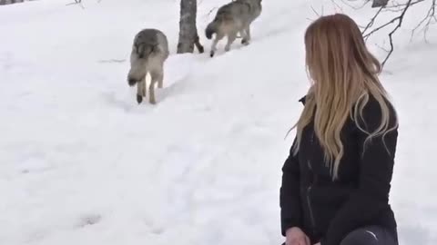 GIRL HOWLS WITH GIANT WOLVES