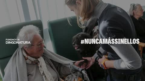 Presentamos PELOS 2 - Fundación Dingonatura