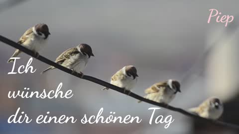 Ich wünsche dir 🌤️ einen schönen Tag