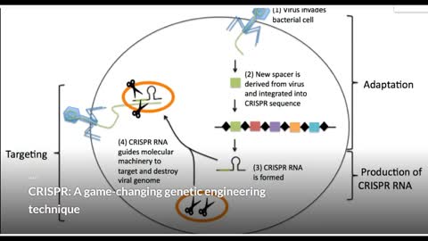 mRNA/mDNA 'εμβόλια' και αλλαγή του ανθρώπινου γονιδιώματος -νέο συνθετικό είδος transhuman 2.0.
