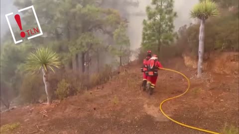 El incendio de Tenerife afecta ya a 8.400 hectáreas con más de 12.000 desalojados