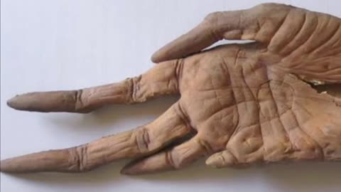 Alien Hand of one of the BUILDERS of the GREAT PYRAMID of EGYPT?!?!?! 👉👉👉 Follow me