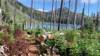 Central Oregon - Mount Jefferson Wilderness - Walking to Wascally Wasco Wake