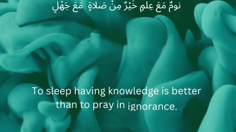 Pursuing Knowledge According to the Prophet Muhammad, peace be upon him and his family