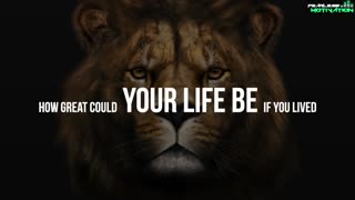 LION MENTALITY