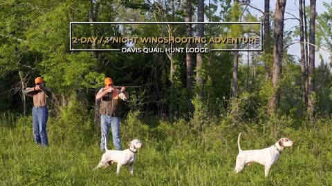 Family Expeditions Davis Quail Hunts 2-Day/3-Night Wingshooting Adventure