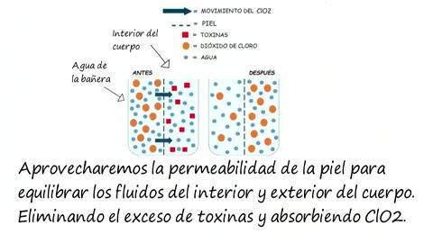 PROTOCOLO L ,, LAVADO DE BAÑO EN LA BAÑERA PARA DEXINTOXICAR