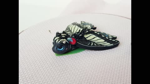 Magnet for embroidery Dragon Butterfly Machaon Sailboat. Gift needle minder holder by AnneAlArt