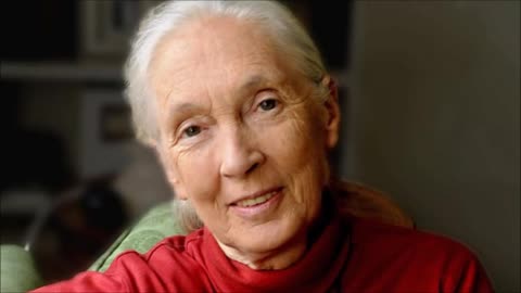 Jane Goodall on Private Passions with Michael Berkeley 14th May 2017
