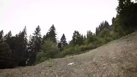 🔥MTB edit | mountain biking awesome motivation | downhill| 2022 #2