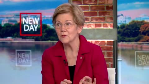 Sen. Warren: "You know how much [Elon Musk] paid in taxes, one of the richest people in the world? Zero!"