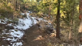 Hiking Through Deschutes National Forest – Whychus Creek – Central Oregon