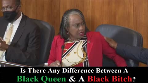 Black Councilwoman Lisa Lucas-Burke Cussing Out Council! Have Black Women Gotten OUT OF CONTROL?