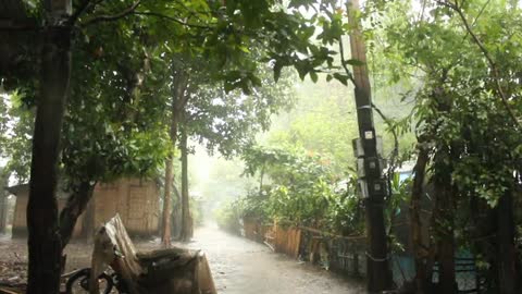 Just 🥰🌧rainsound nature🌿🍃#amazing #relaxingview #rainfall #healing #havefun