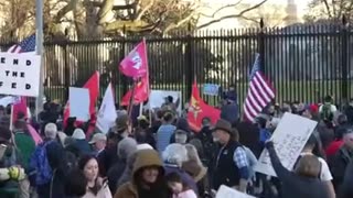 Thousands protesting in DC