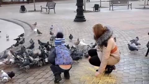 Feeding pigeons in the park.