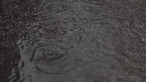 GENTLE RAINFALL VIDEO | relaxing sound of rainfall